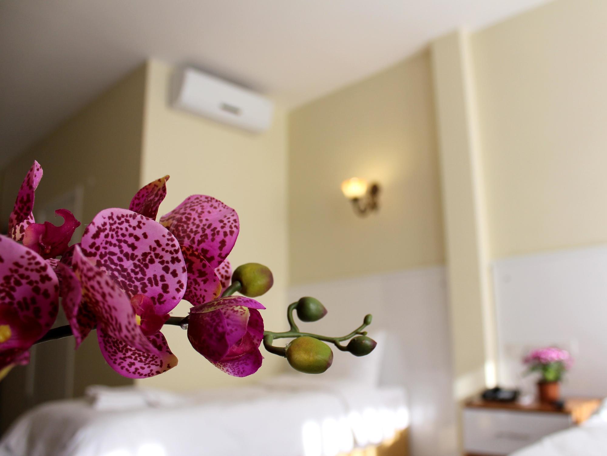 Pera Main Hotel Стамбул Экстерьер фото